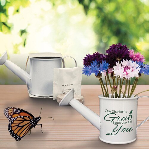 colorful flower in mini watering can with a butterfly