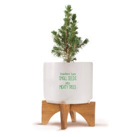 Two-piece bamboo stand with modern white ceramic planter featuring the inspirational message “Teachers Turn Small Seeds Into Mighty Trees.” Grows Douglas Fir Trees