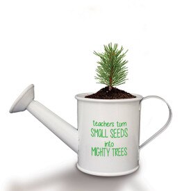 This Mini Watering Can Kit With Douglas Fir Tree Seeds Features The Inspirational Message “Teacher Turn Small Seeds Into Mighty Trees”