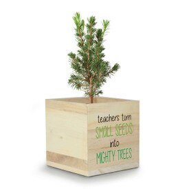 wooden cube with douglas fir tree and teacher's tree of life message