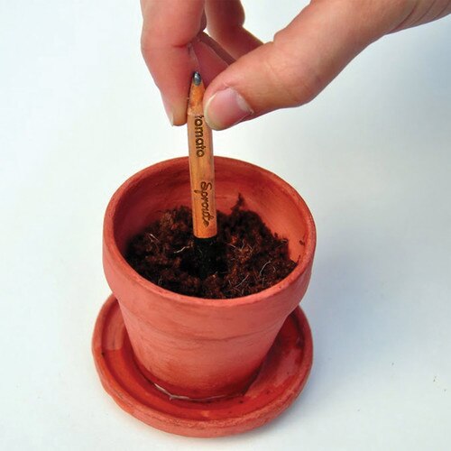 planted sow and grow pencil