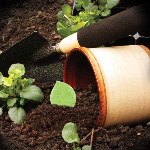 flower pot with dirt and shovel