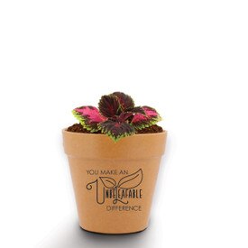 A Mini Flower Pot Kit Features The Inspirational Message: You Make An Unbeleafable Difference. Grows Coleus.