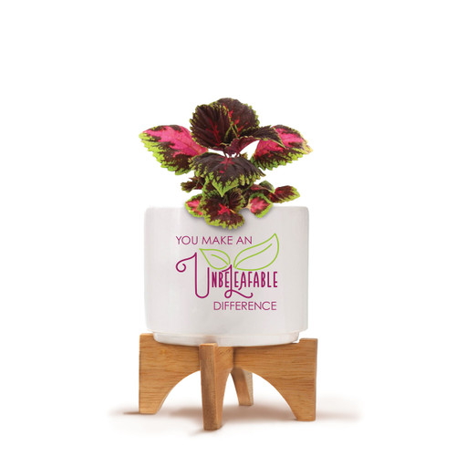 Bamboo Stand With White Ceramic Planter. Inspirational Message Reads: You Make An Unbeleafable Difference. Grows Coleus.