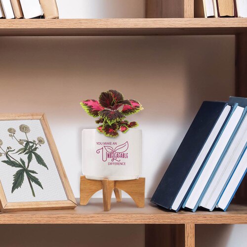 unbeleafable ceramic planter sitting on a shelf