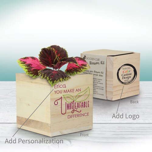 unbeleafable wooden cube plant kit with personalization and add you logo