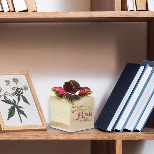 unbeleafable wooden cube sitting on a shelf