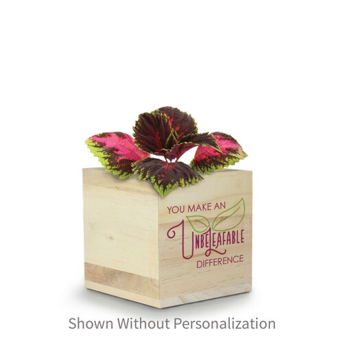 unbeleafable plant kit