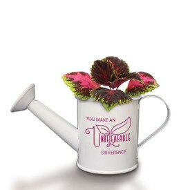 A Mini White Watering Can Grow Kit Featuring The Inspirational Message: You Make An Unbeleafable Difference. Grows Coleus
