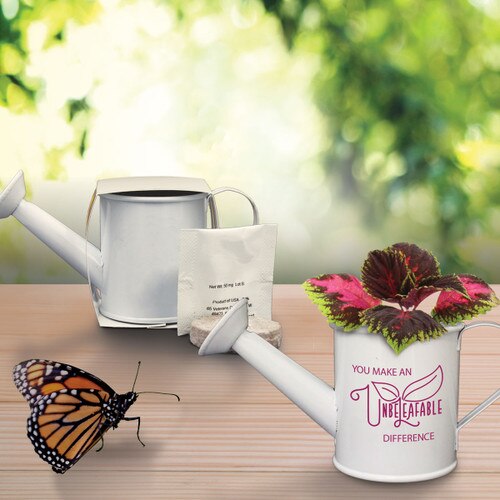 coleus plant in mini watering can with a butterfly