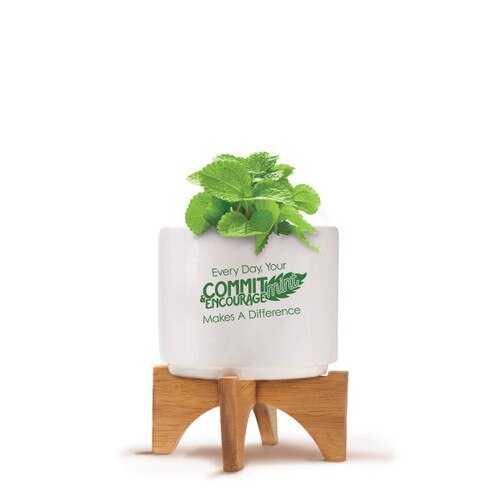 Bamboo Stand With White Ceramic Pot. Inspirational Saying: Every Day, Your Commit-Mint & Encourage-Mint Makes A Difference.