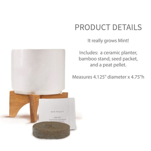 commit-mint ceramic planter sitting on a shelf