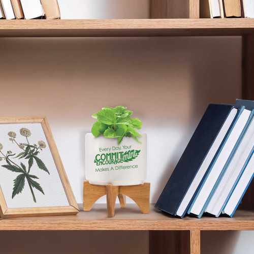 commit-mint ceramic planter sitting on a shelf