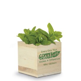 A Natural Pine Wood Plant Kit With Mint Seeds. Front Reads: Every Day, Your Commit-Mint & Encourage-Mint Makes A Difference