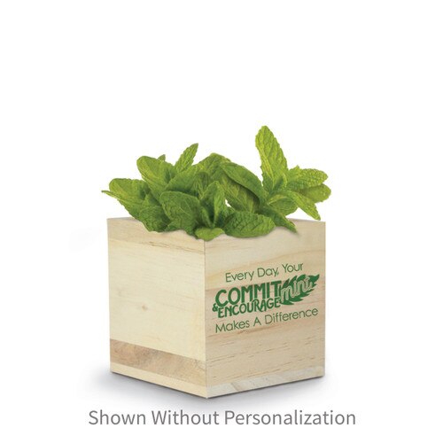 commit-mint plant kit