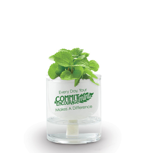 Self-Watering Plant Kit Includes A Mint Seed Packet. Message Reads: Your Commit-Mint & Encourage-Mint Makes A Difference.